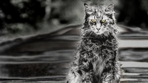 Pet Sematary (2019) Hindi Dubbed