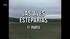 Episode 73