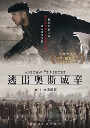 Poster 奥斯维辛报告 2021