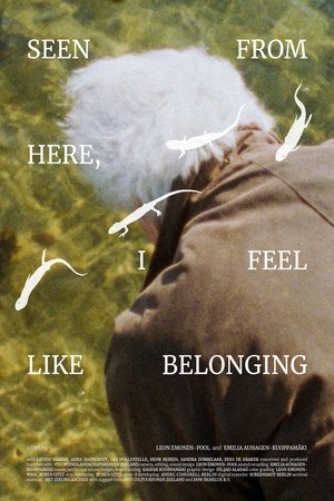 Seen From Here, I Feel Like Belonging