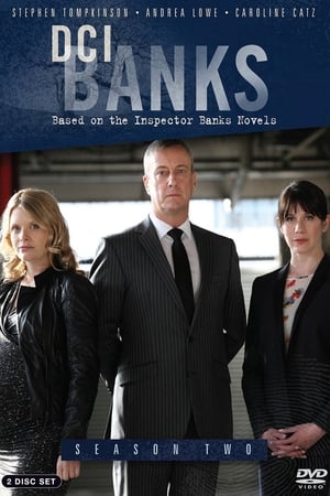 DCI Banks: Seizoen 2