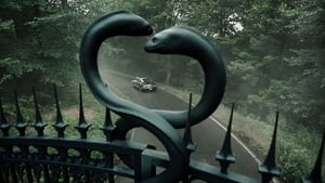 A Cure for Wellness