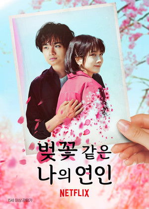 Image 벚꽃 같은 나의 연인