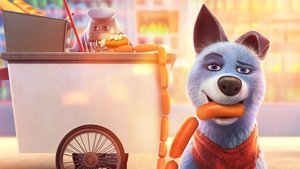 Pets United : L’union fait la force (2019)