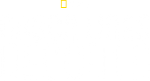 Nasca Lines Decoded
