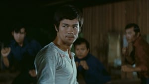 El gran jefe (1971) HD 1080p Latino