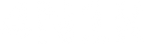 4N1K — Logos 2