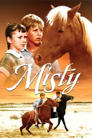 Poster di Misty