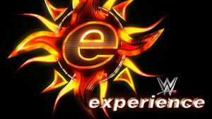 poster WWE Experience