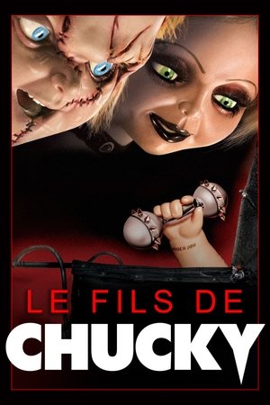 Image Le Fils de Chucky