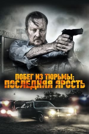 Poster Побег из тюрьмы: Последняя ярость 2017