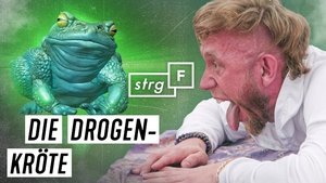 Episode 238