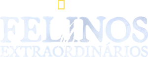 Felinos Extraordinários — Logos 1