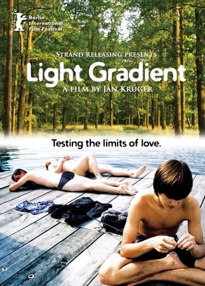 Poster Light Gradient (2009)