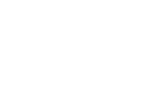 Vintage-valtakunta — Logos 1