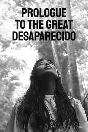 Poster Prologue to the Great Desaparecido (2013)