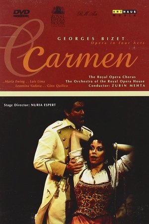 Bizet Carmen poster