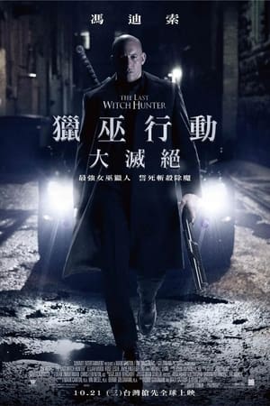 Poster 最后的巫师猎人 2015