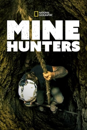 Image Mine Hunters