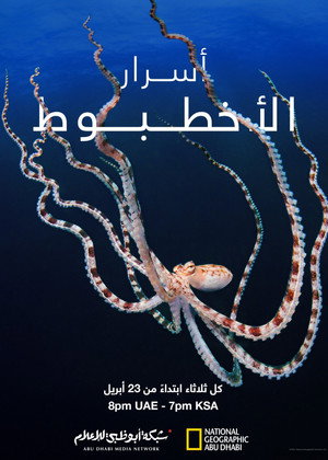 أسرار الأخطبوط