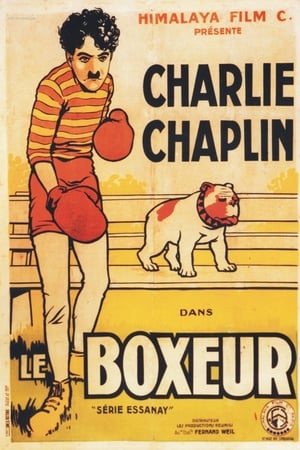 Image Charlot boxeur