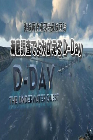 海底调查 重现诺曼底登陆