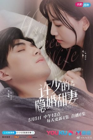 许少的隐婚甜妻 第二季 film complet