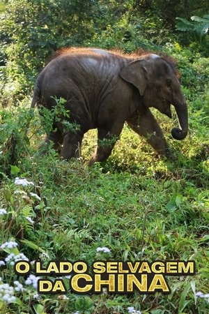 Image China's Wild Side