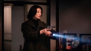 Following ( 2024 )