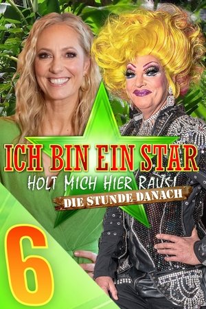 Saison 6