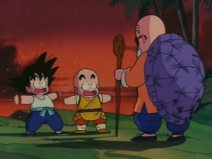 Dragon Ball: 1×16