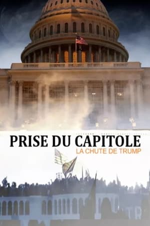 Poster Prise du Capitole - la chute de Trump 2021