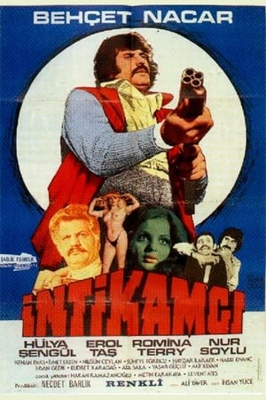 Poster Intikamci (1976)