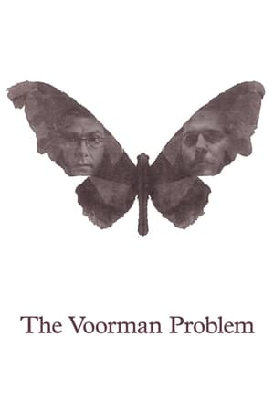 Poster The Voorman Problem (2013)