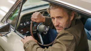 Cat Amongst the Pigeons