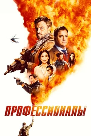 Poster Профессионалы 2020