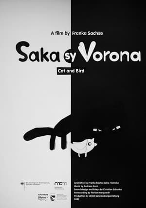 Image Saka sy Vorona