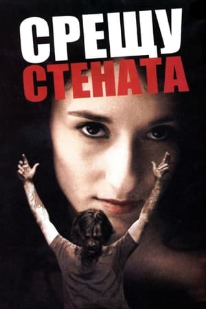 Poster Срещу стената 2004