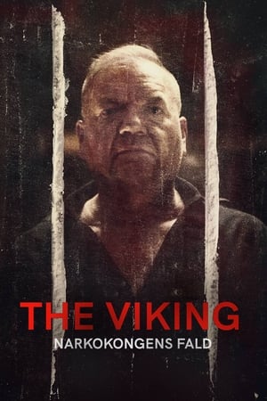 Poster The Viking - Narkokongens Fald 2022
