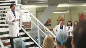 Grey’s Anatomy Season 6 Episode 13