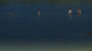 The Rib of the Greater Bay Area