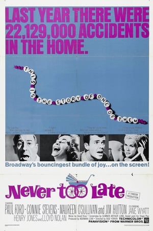 Never Too Late poster