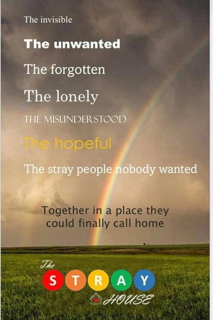 The Stray House