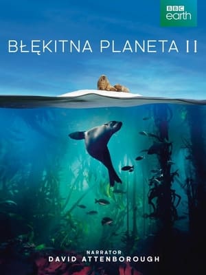 Poster Błękitna Planeta II Sezon 1 Rafy koralowe 2017