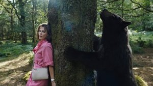 Oso intoxicado