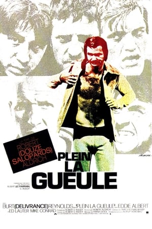 Poster Plein la gueule 1974