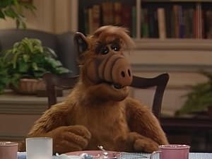 ALF We Gotta Get Out of This Place