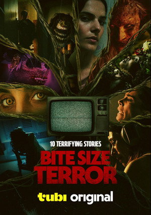 Bite Size Terror's Poster