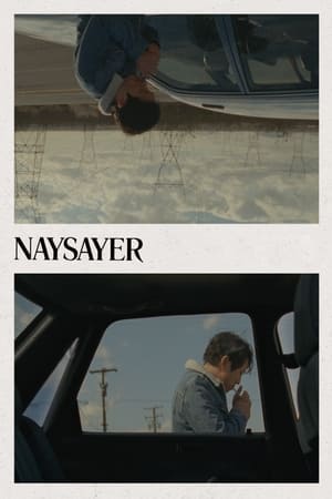 Image Naysayer