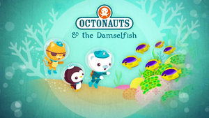 Octonauts The Damselfish